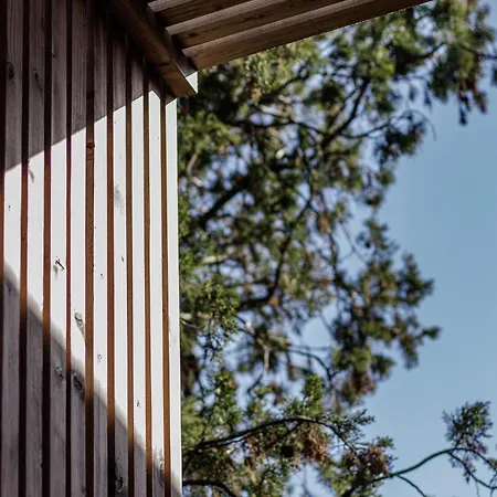 Quinta Da Janeca Vila Pouca de Aguiar