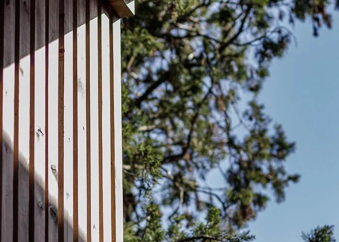 Quinta Da Janeca Vila Pouca de Aguiar